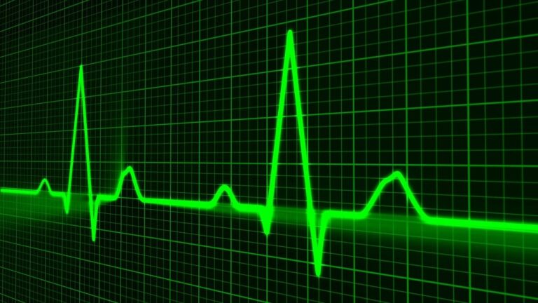 pulse-trace-g9b57a257c_1280-768x432